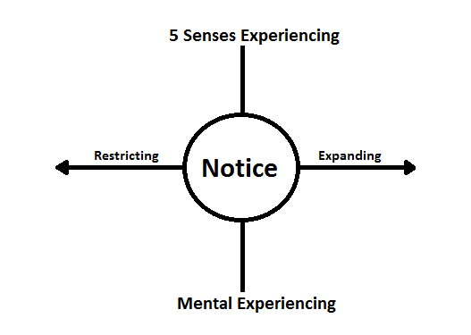 ACT Matrix